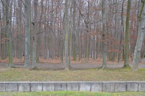 Le champ funéraire du camp spécial soviétique. C’est à la fin de 1989 que l’existence des fosses où avaient été ensevelies les victimes du camp soviétique est rendue publique. Les lieux de charniers sont signalés par des colonnes de métal.
